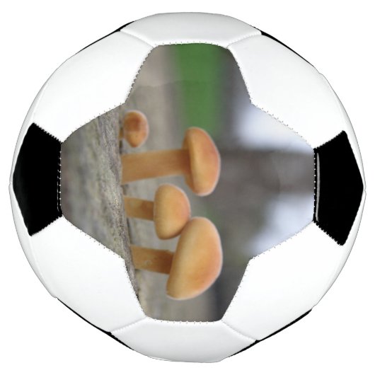 Tiny Toadstools Macro Soccer Ball (Gedreht)