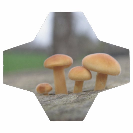 Tiny Toadstools Macro Soccer Ball (Flach)