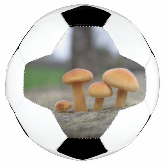 Tiny Toadstools Macro Soccer Ball (Vorderseite)