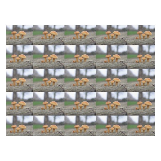 Tiny Toadstools Macro Tableclout Tischdecke (Vorderseite (Horizontal))