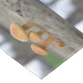 Tiny Toadstools Macro Tableclout Tischdecke (Schrägansicht)