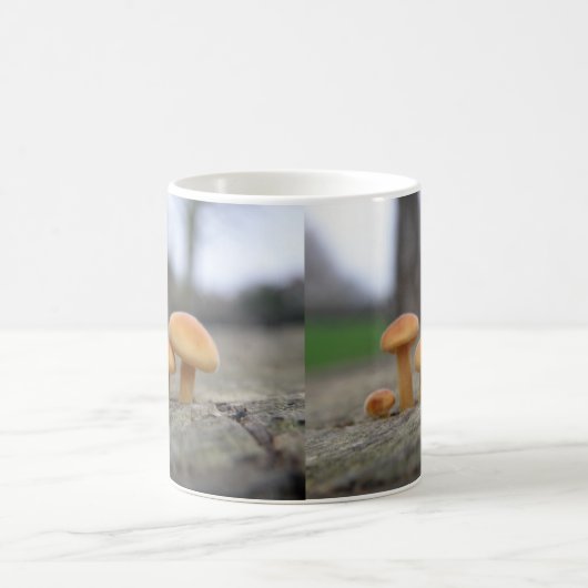Tiny Toadstools Macro Tasse (Mittel)