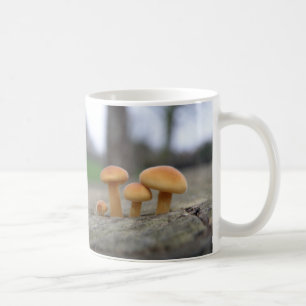Tiny Toadstools Macro Tasse