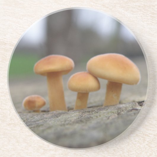 Tiny Toadstools Macro Untersetzer (Vorne)