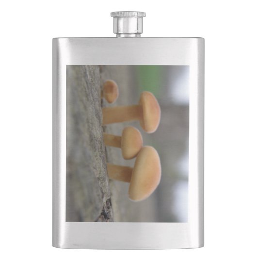 Tiny Toadstools Makro-Flasche Flachmann (Vorderseite)