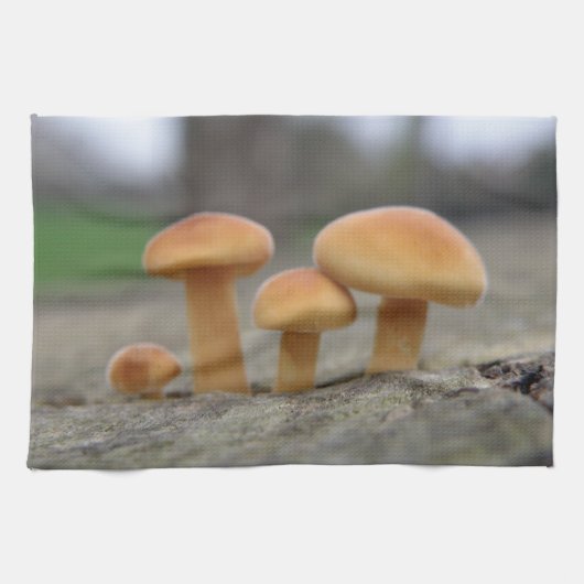 Tiny Toadstools Makro Küchentücher (Horizontal)