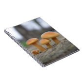Tiny Toadstools Makro-Notebook Notizblock (Rechte Seite)