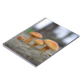 Tiny Toadstools Makro-Notebook Notizblock (Linke Seite)