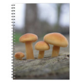 Tiny Toadstools Makro-Notebook Notizblock (Vorderseite)