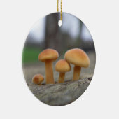 Tiny Toadstools Makro Ornament (Rechts)