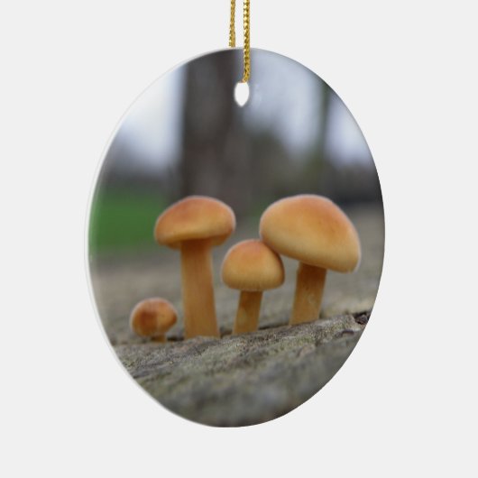 Tiny Toadstools Makro Ornament (Rechts)