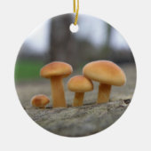 Tiny Toadstools Makro Ornament (Vorne)
