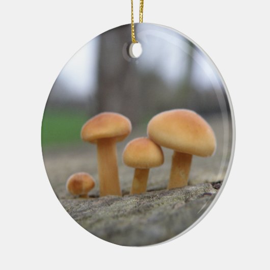 Tiny Toadstools Makro Ornament (Links)