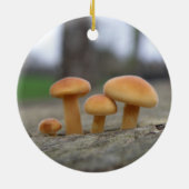 Tiny Toadstools Makro Ornament (Hinten)