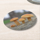 Tiny Toadstools Makro Paper Untersetzer (Angewinkelt)
