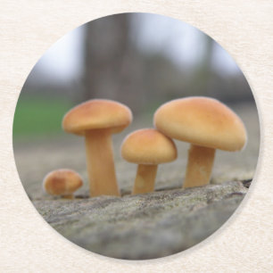 Tiny Toadstools Makro Paper Untersetzer
