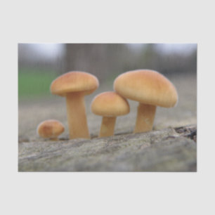 Tiny Toadstools Makro-Tissue Seidenpapier