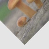 Tiny Toadstools Makro-Tissue Seidenpapier (Ausschnitt)
