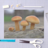 Tiny Toadstools Makro-Tissue Seidenpapier (Handwerk)