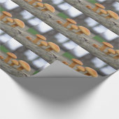 Tiny Toadstools Makro Wrapping Paper Geschenkpapier (Ecke)