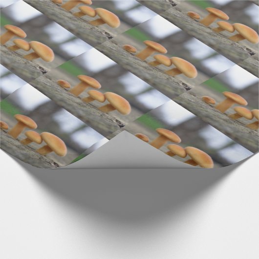 Tiny Toadstools Makro Wrapping Paper Geschenkpapier (Ecke)
