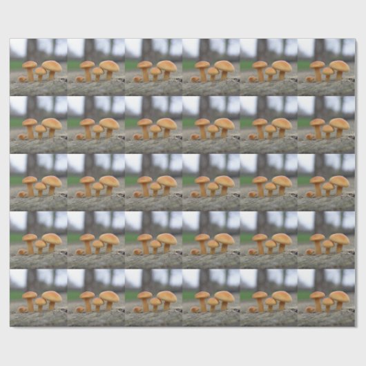 Tiny Toadstools Makro Wrapping Paper Geschenkpapier (Flach)