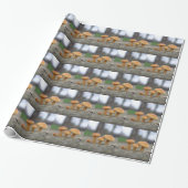 Tiny Toadstools Makro Wrapping Paper Geschenkpapier (Ungerollt)
