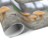 Tiny Toadstools Makro Wrapping Paper Geschenkpapier (Rolleneckpunkt)