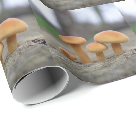 Tiny Toadstools Makro Wrapping Paper Geschenkpapier (Rolleneckpunkt)