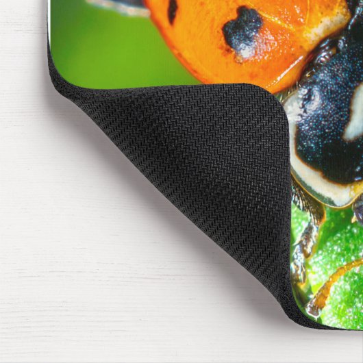 Tiny Traveler: Ladybug on a Leaf Mousepad (Ecke)