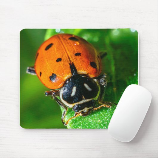 Tiny Traveler: Ladybug on a Leaf Mousepad (Mit Mouse)