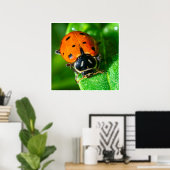 Tiny Traveler: Ladybug on a Leaf Poster (Heimbüro)