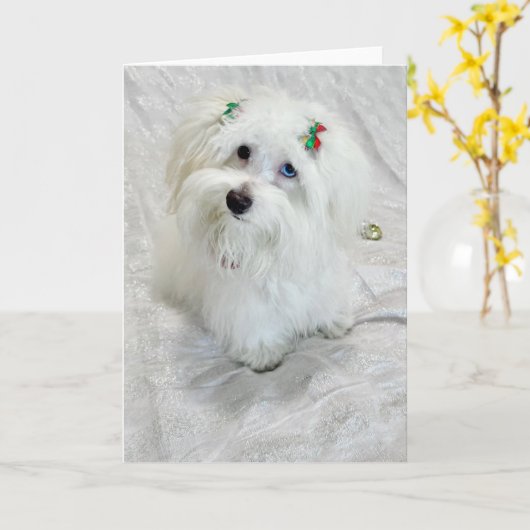 Tiny Treasure Karte (Gelbe Blume)