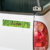 Tiny tropical fern autoaufkleber (Auf Lkw)
