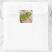 Tiny Tropical Frog Quadratischer Aufkleber (Tasche)