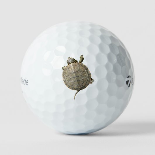 Tiny Turtle (Tortoise) Golfball (Vorderseite)