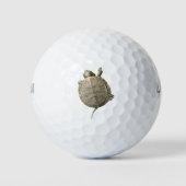 Tiny Turtle (Tortoise) Golfball (Vorderseite)