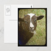 Tiny wächst auf postkarte (Vorne/Hinten)