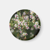 Tiny White Blume Magnet (Vorne)