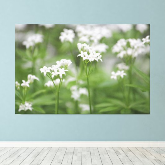 Tiny White Floral Leinwand (Insitu (Holzboden))