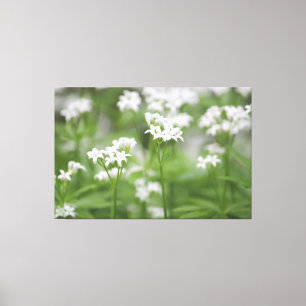 Tiny White Floral Leinwand