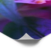 Tiny White Wildblume Nah Poster (Ecke)