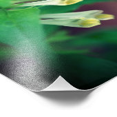 Tiny White Woodland Wildblume Nah 8x10 Fotodruck (Ecke)