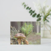 Tiny Wild Mushroom Postkarte (Stehend Vorderseite)