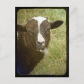 Tiny wird groß postkarte (Vorderseite)