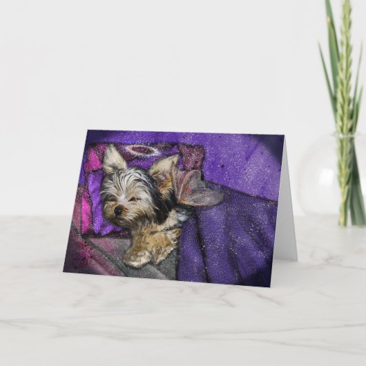 Tiny Yorkie Sleeping Angel Halo Memorial Art Karte (Vorderseite)