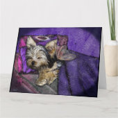 Tiny Yorkie Sleeping Angel Halo Memorial Art Karte (Vorderseite)