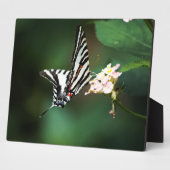 Tiny Zebra Plaque Fotoplatte (Seite)