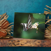 Tiny Zebra Plaque Fotoplatte (Seite)