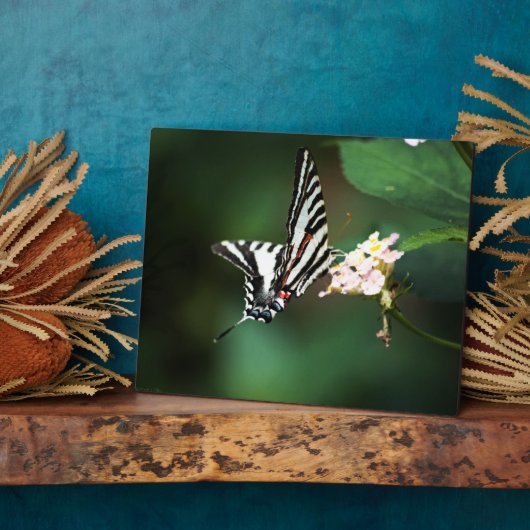 Tiny Zebra Plaque Fotoplatte (Seite)
